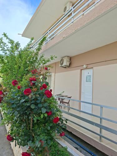 STUDIOS MONA in 아클라디온