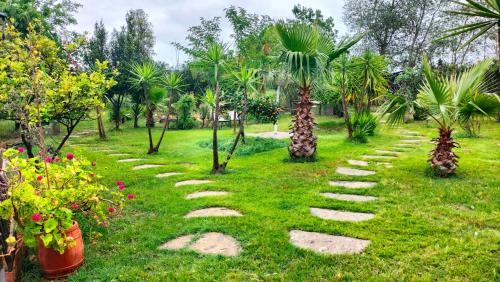 FINCA RIODIEL in Trigueros