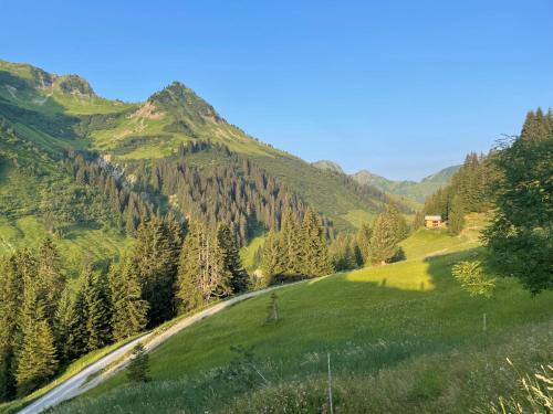 Double Room with Mountain View