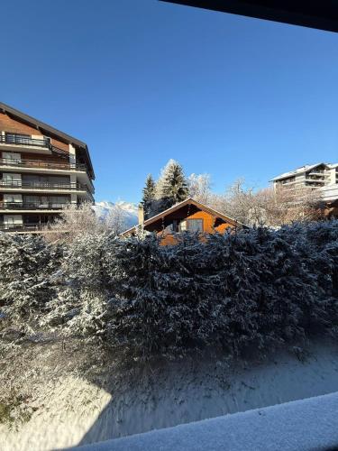 Studio au centre de Haute-Nendaz in Nendaz