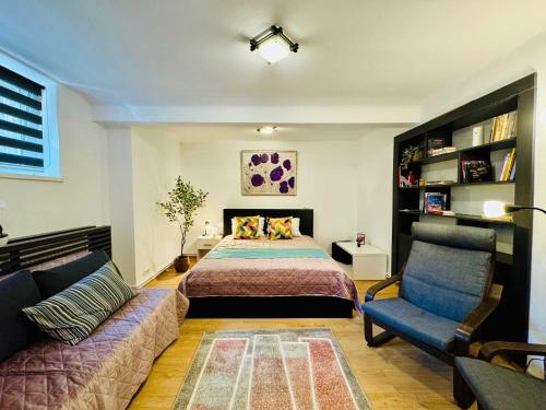 티미쇼아라 Joy City Stay Nemoianu 8D 4성급 싱글룸 스위트룸