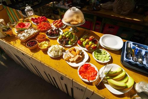 Tirana Backpacker Hostel - image 4