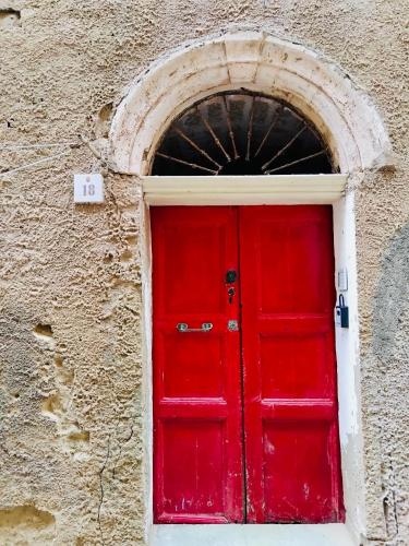 Seashells, Alghero (photo 6)