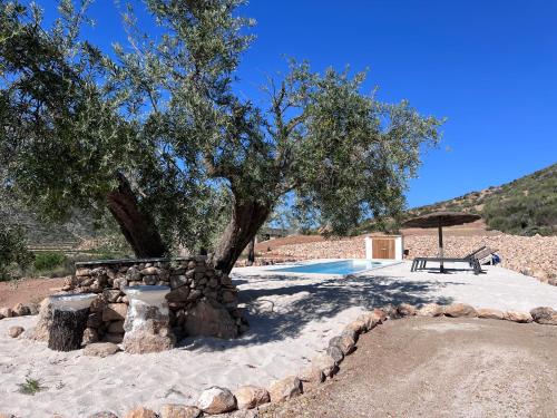 Disfruta in Hondon De Las Nieves