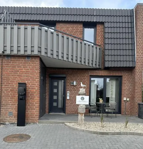 Kleine Möwe in Dahme, Deutschland