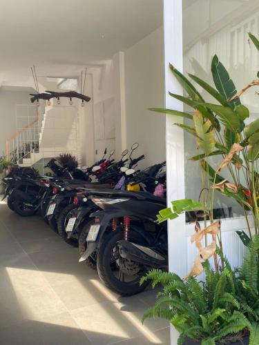 Căn Hộ Đan Mây - Đan May Apartment Đa Lat