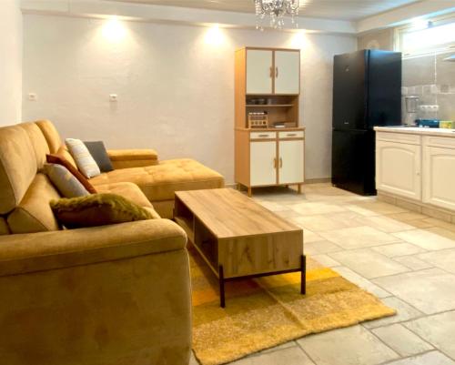 Yaor Shiatsu Yoga - Maison avec 2 appartements, jacuzzi et accès privé à la rivière (Yaor Shiatsu Yoga - Maison avec 2 appartements, jacuzzi et acces prive a la riviere) in Ladern-sur-Lauquet