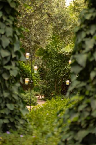 Olinto, Atlas Mountain Retreat - adults only, Ouirgane (fotografie 6)