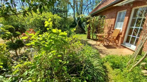 外部景觀, Ostsee Hotel-Pension An der Lindenallee in 巴特多貝蘭