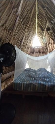 Eco-Camping Mango Feliz Rincon del Mar in San Onofre