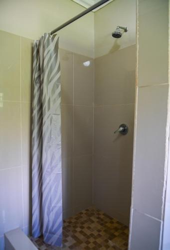 Leopard Tree Apartments - image 2