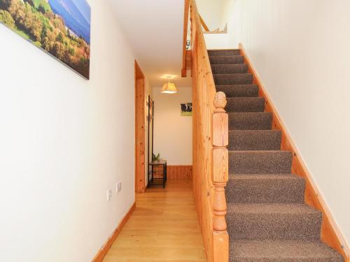 Treview Launceston - image 6