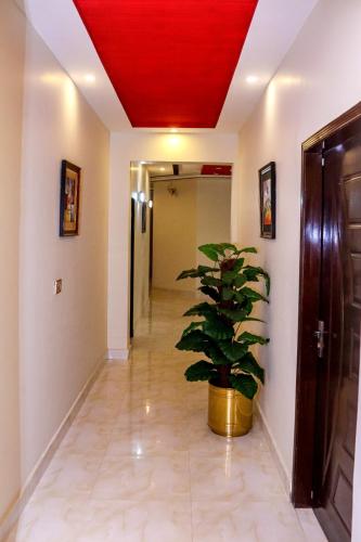 Royalton INN Liberty - main image