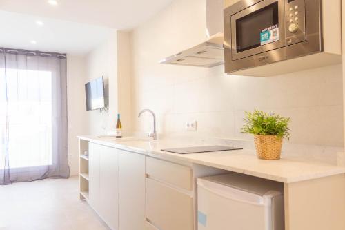 Penthouse Apartment image 10