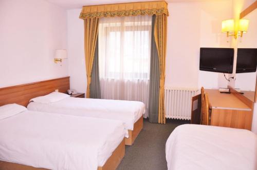 1 king bed, 1 twin bed, 1 sofa bed