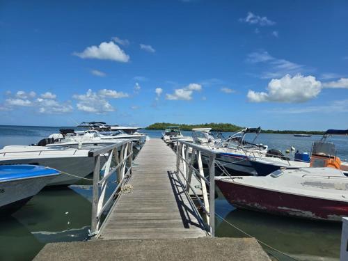 Le Refuge Vert in Morne-A-l'Eau
