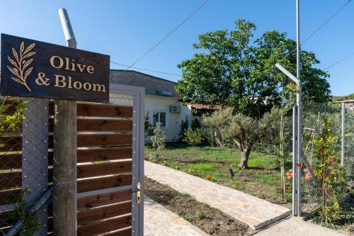 Olive & Bloom entire vila with Pool & Private Parking, Berat (zdjęcie 8)