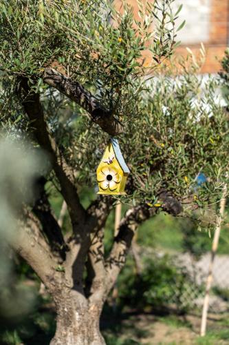 Olive & Bloom entire vila with Pool & Private Parking, Berat (zdjęcie 10)