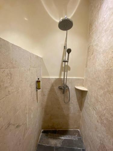 One-Bedroom Premier Apartment image 4