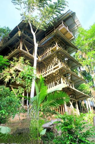 Paraiso Ayahuasca Hotel & Tours in Puerto Narino