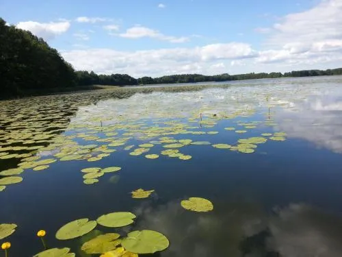 Ferienwohnung Seebusch in Schwarz, Deutschland