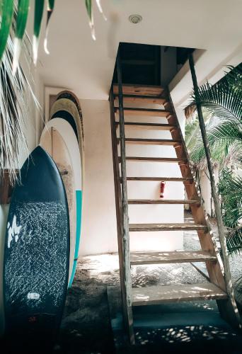 Swell, El Paredón Buena Vista (fotografie 6)