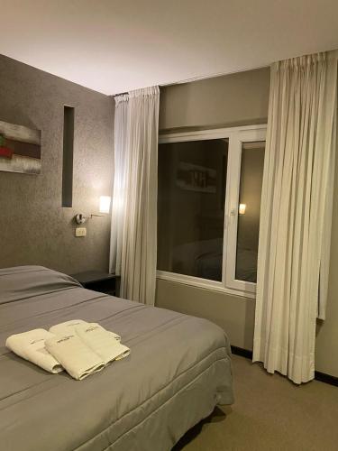Double or Twin Room room in Hotel Aires de Tandil