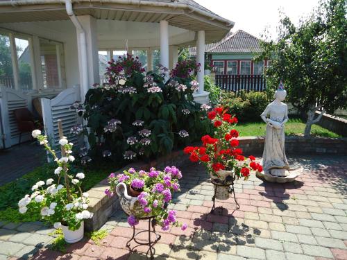 Guest House Linas - image 2