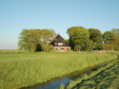 Apartment in Workum near IJsselmeer Beach, Workum (foto 10)
