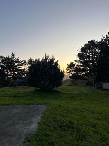 Nas proximidades, Deer's Meadow in Point Arena (CA)
