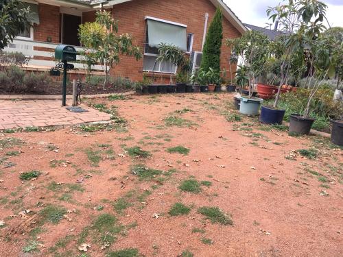 Downer Studio - Inner North, Near Chinatown, EPIC in Watson