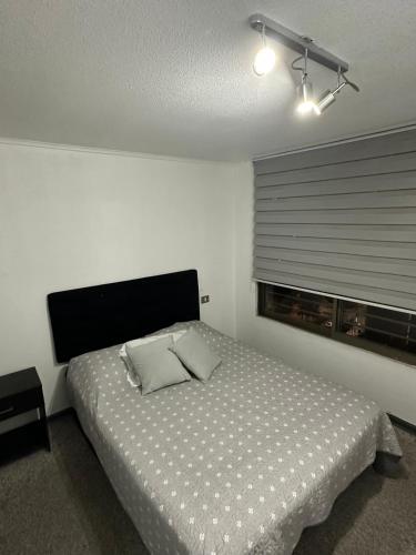 Departamento Bellavista