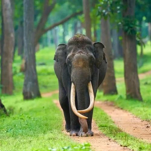 Blue mount stay in คุทาลูระ