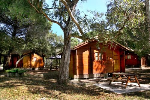 Camping U STABIACCIU - image 11