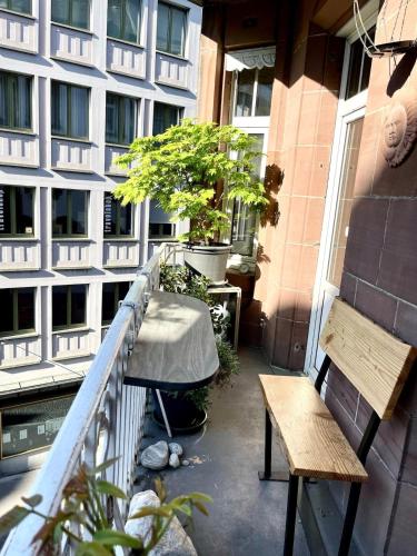Im Herzen der Altstadt Basel, Basel (photo 8)