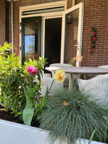 Volendam Lakeside Retreat - 20 min from Amsterdam in Edam-Volendam
