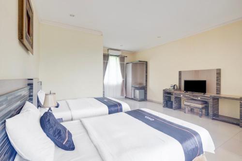 Superior Twin Room image 4