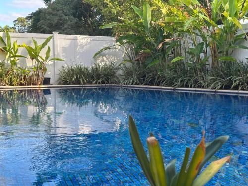 Bazen, Conifer - Your Private Resort Pool Retreat in Carrara