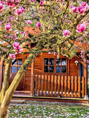 花園, Ferienhaus am See Wutzsee mit direktem Seezugang in 林多