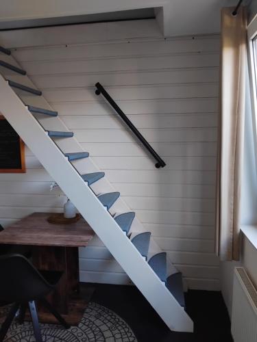  De Kameleon in Petten