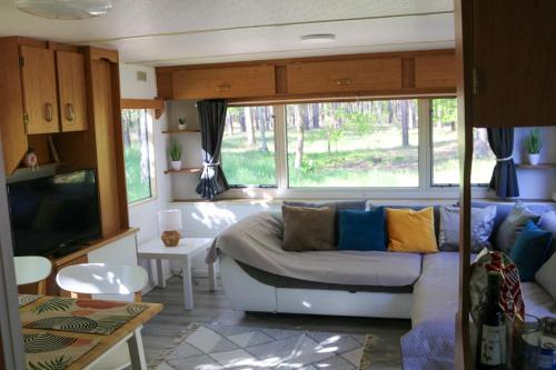 Tinyhaus2 idyllisch am Waldesrand in Cottbus