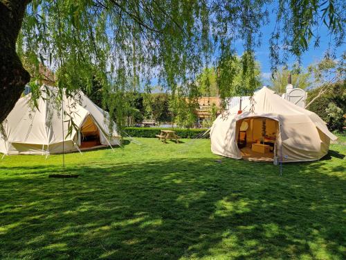 外部景觀, Aldwark Bridge Glamping - Aurora Tent in 艾爾德沃克