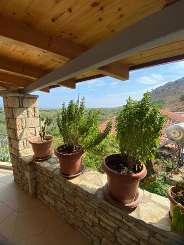 FarmHouse Qeparo in Qeparo