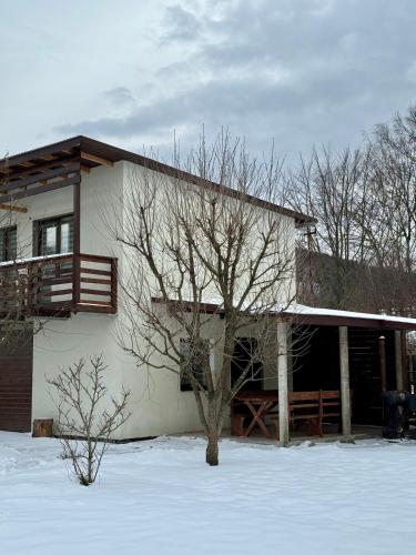 Dvir, Skole (zdjęcie 9)