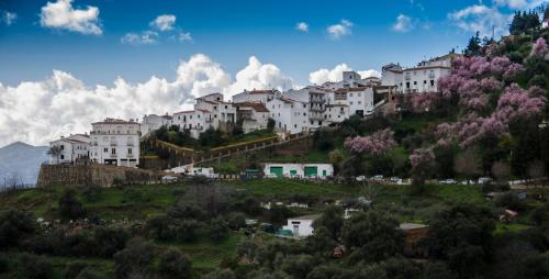 Finca El Molino De Aceite in Jubrique