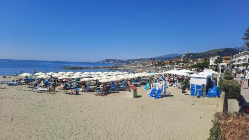 rand, ''SAPORE DI PROVENZA'' tra Mare e Ulivi in Terzorio