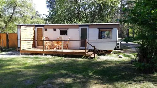Tinyhaus2 idyllisch am Waldesrand in Cottbus, Deutschland