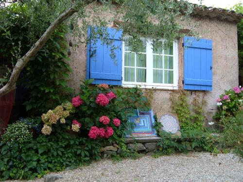 Il bambù, Valbonne (foto 9)