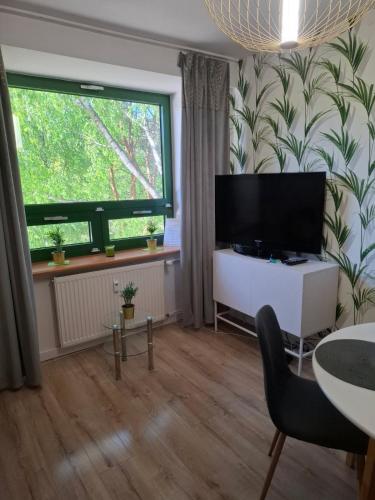 Palmowy Zakątek 2 pokoje dla rodziny Apartament Deluxe
