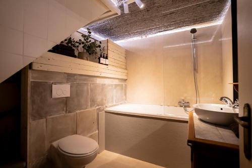 Maas Suites (Maastricht - Lanaken) - image 11